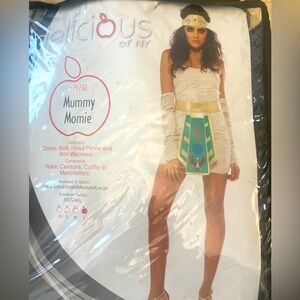 Ladies Mummy Halloween Costume (Size L)